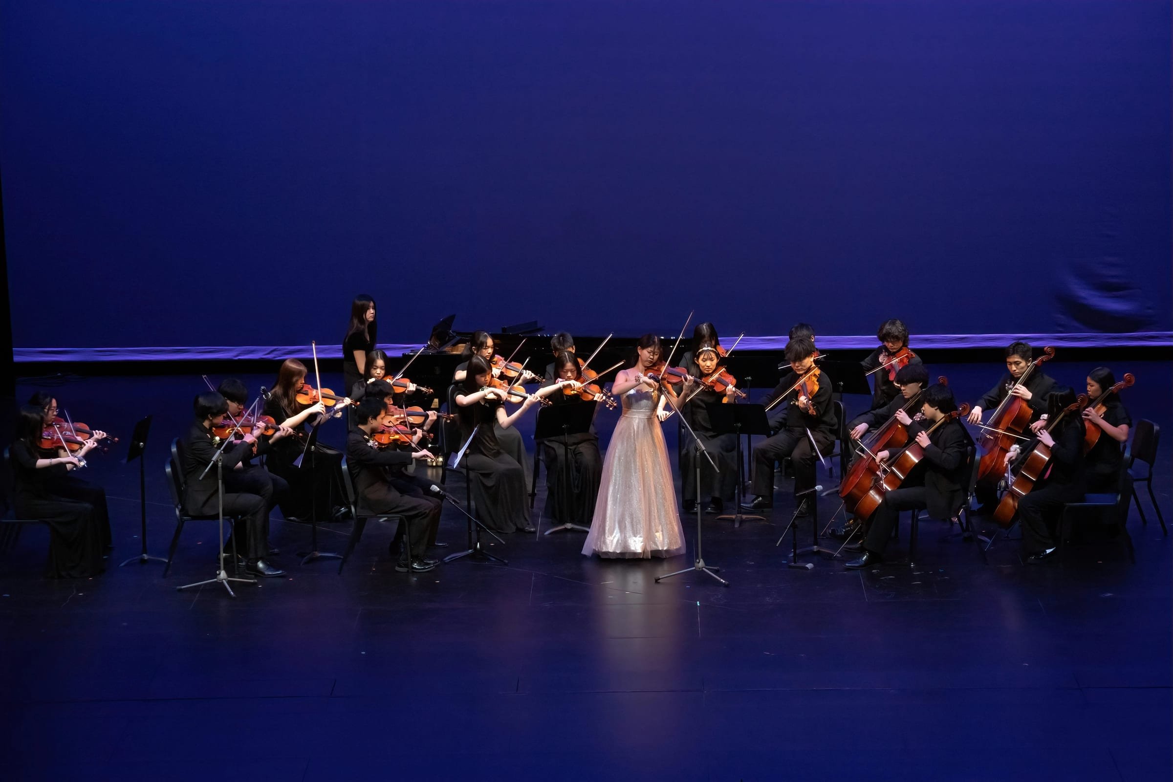 Butterfly Lovers - Gallery image 1