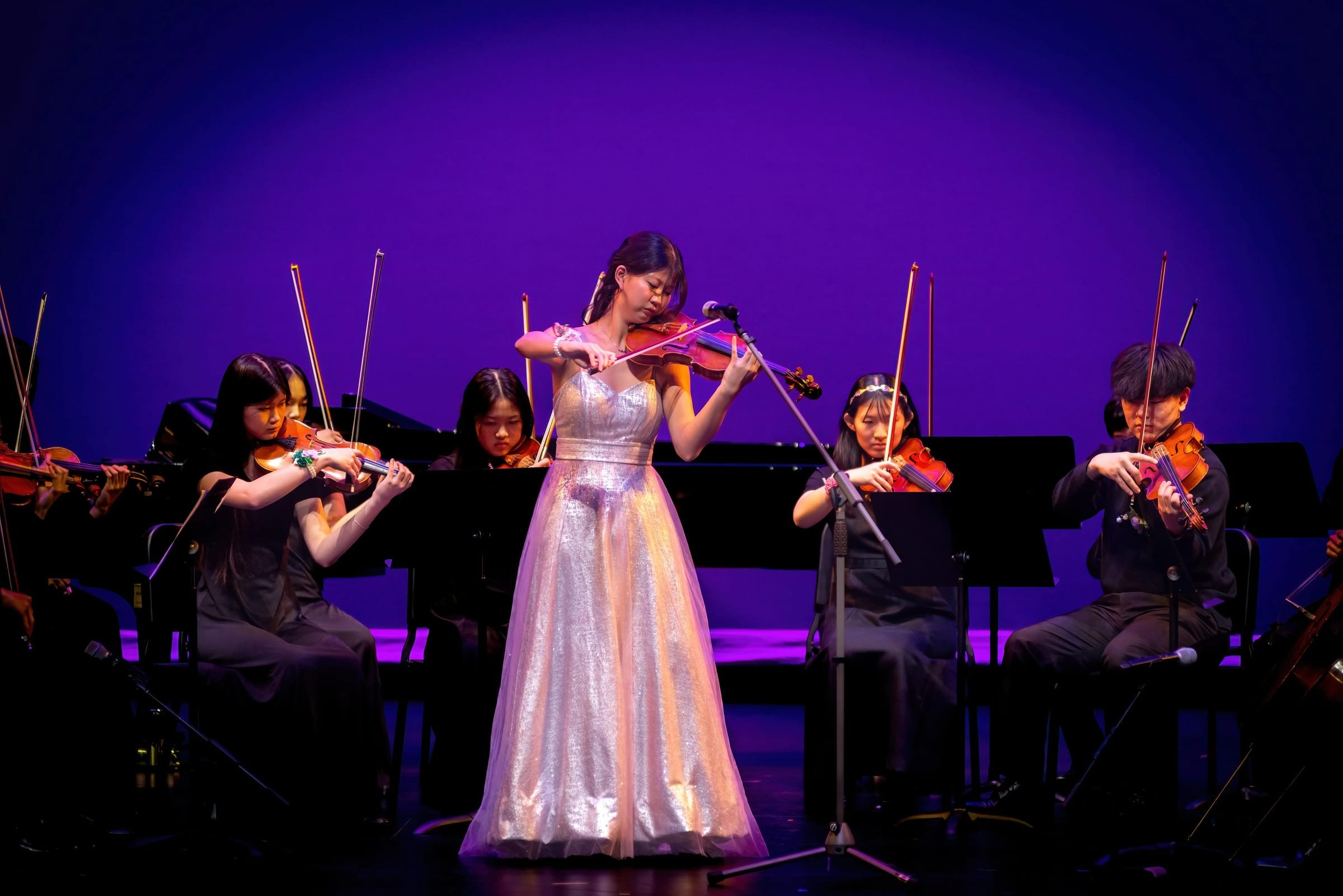 Butterfly Lovers - Gallery image 2