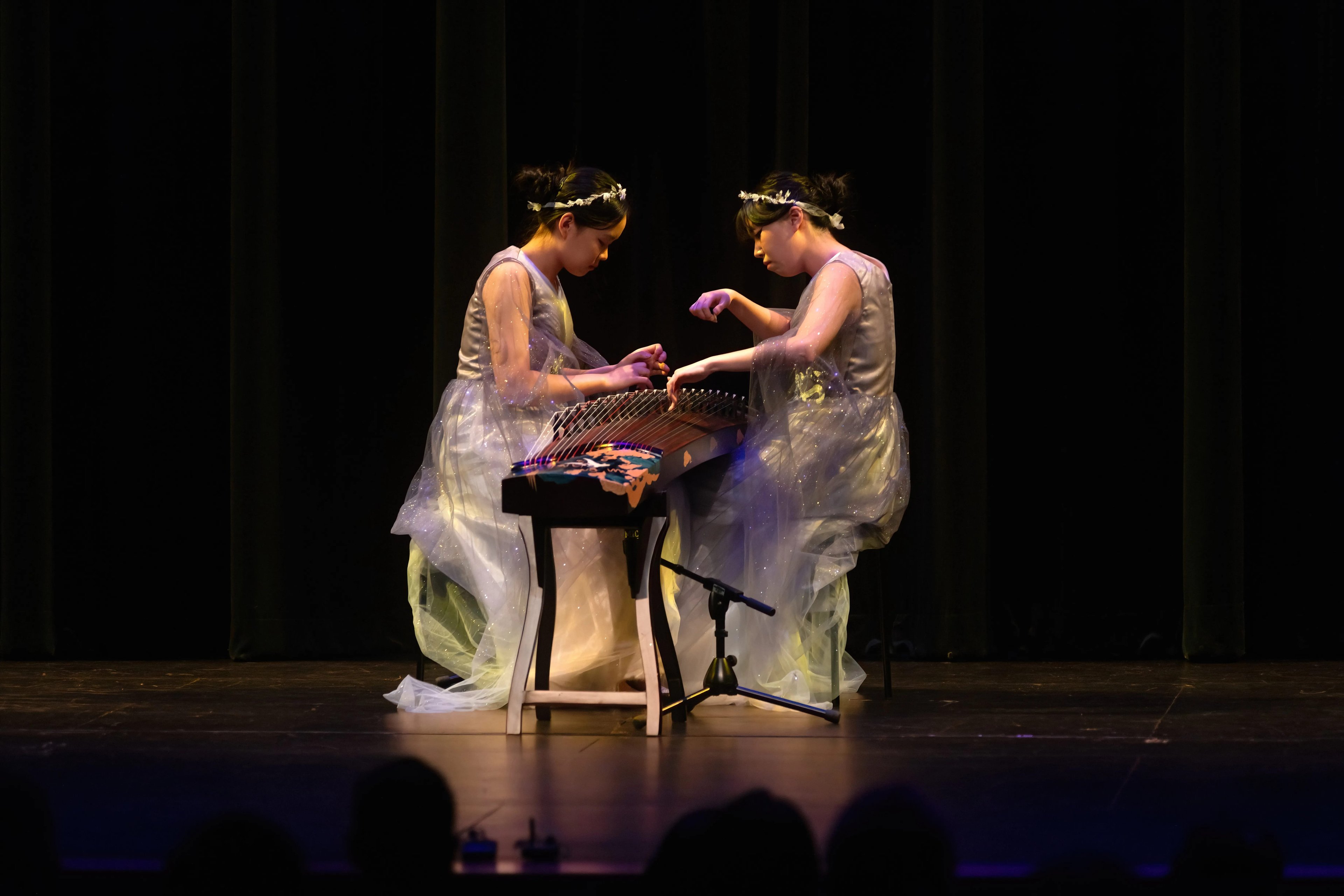 Melody of the Night - Gallery image 2