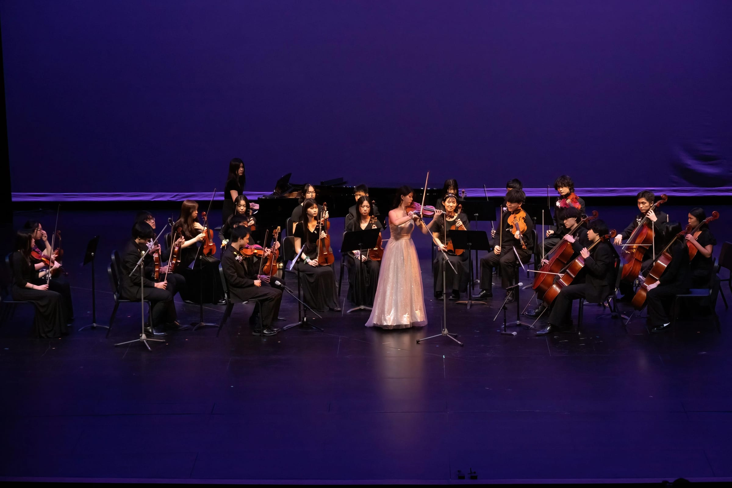 Butterfly Lovers String Ensemble